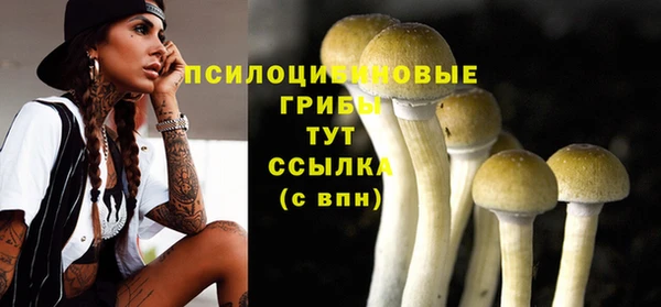 кристаллы Вяземский