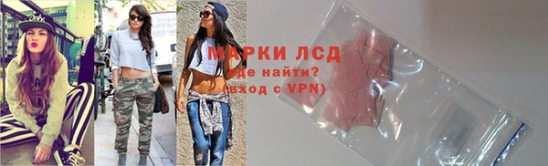 ПСИЛОЦИБИНОВЫЕ ГРИБЫ Вязники