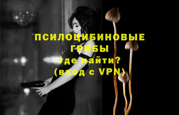 кристаллы Вяземский