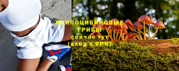 прущие крисы Вязьма
