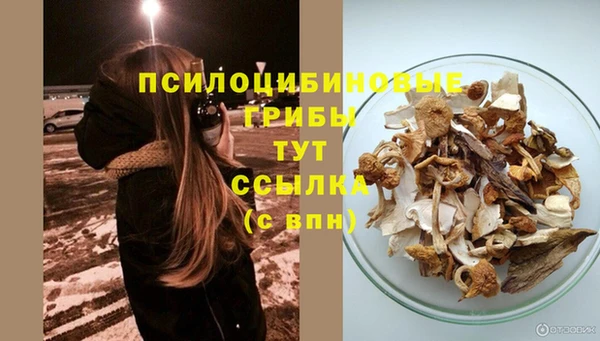 mdpv Каменск-Шахтинский