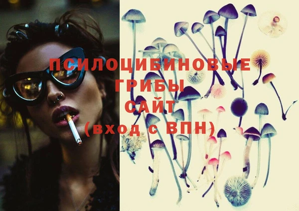 прущие крисы Вязьма