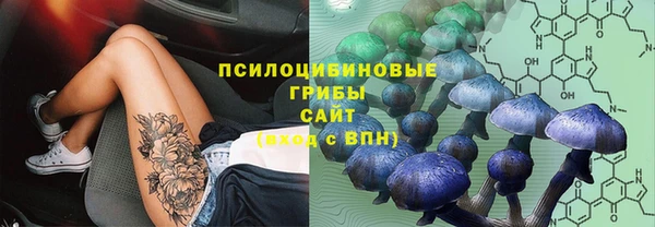 ПСИЛОЦИБИНОВЫЕ ГРИБЫ Вязники